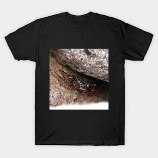 Red Rock Crab T-Shirt